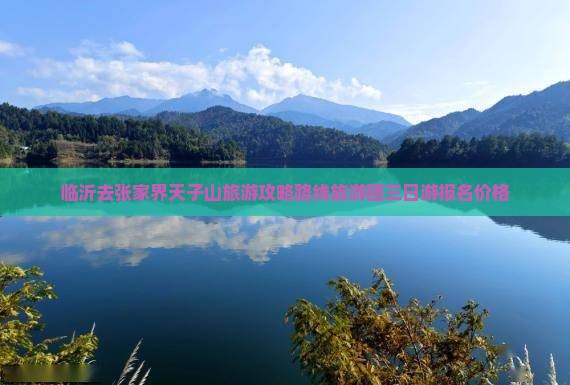 临沂去张家界天子山旅游攻略路线旅游团三日游报名价格