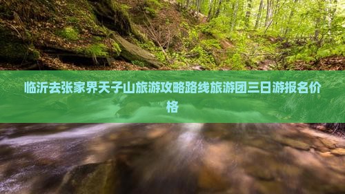 临沂去张家界天子山旅游攻略路线旅游团三日游报名价格