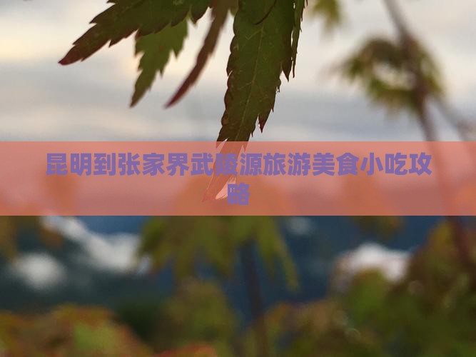 昆明到张家界武陵源旅游美食小吃攻略