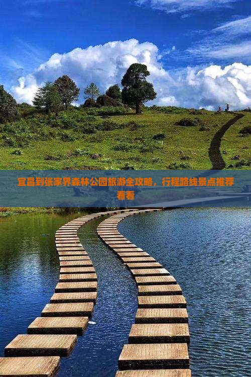 宜昌到张家界森林公园旅游全攻略，行程路线景点推荐看看