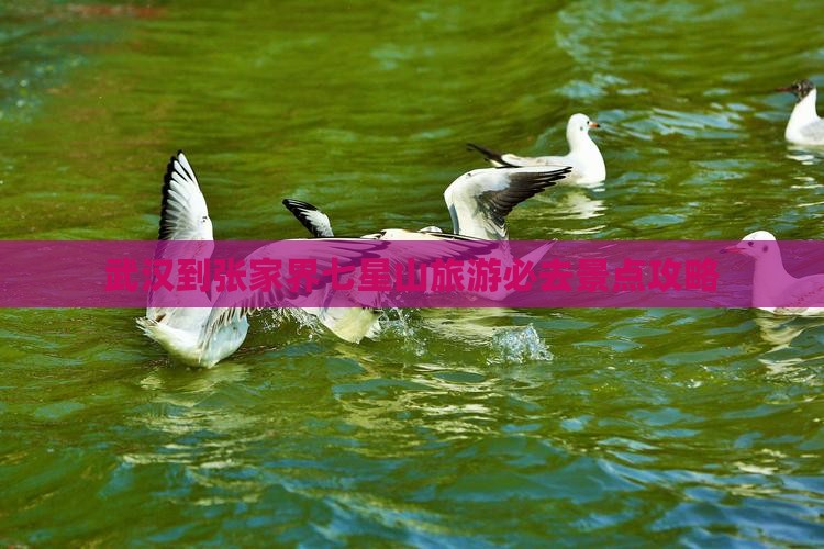 武汉到张家界七星山旅游必去景点攻略