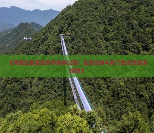 《鸡西出发至张家界森林公园：全景攻略与热门景点深度游指南》
