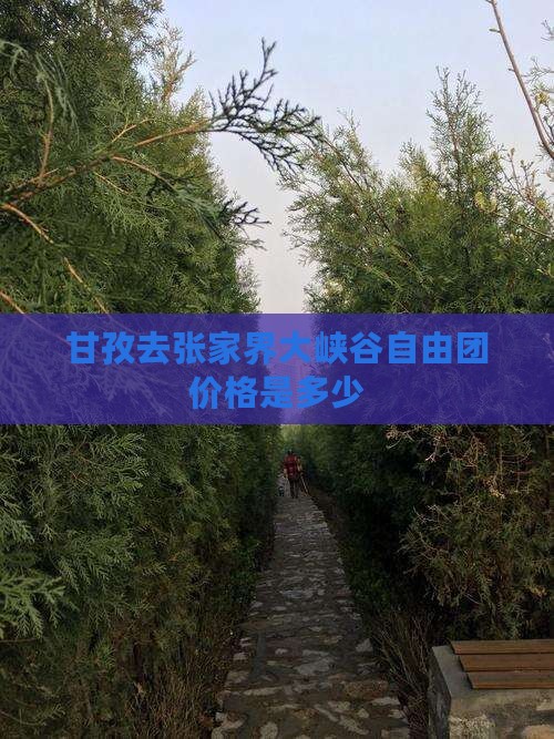 甘孜去张家界大峡谷自由团价格是多少
