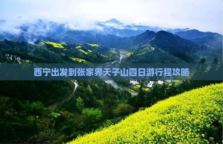 西宁出发到张家界天子山四日游行程攻略