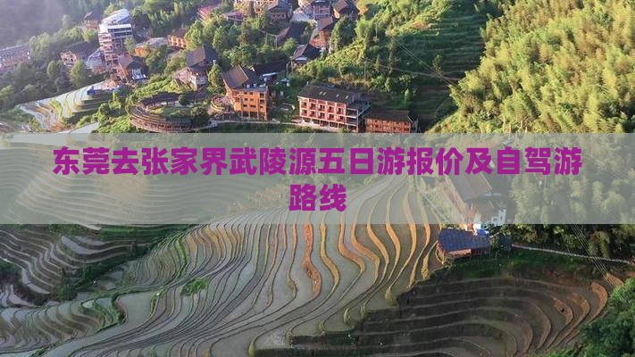东莞去张家界武陵源五日游报价及自驾游路线