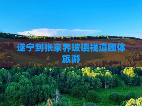 遂宁到张家界玻璃栈道团体旅游