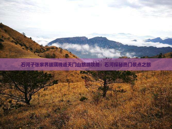 石河子张家界玻璃栈道天门山旅游攻略：石河探秘热门景点之旅