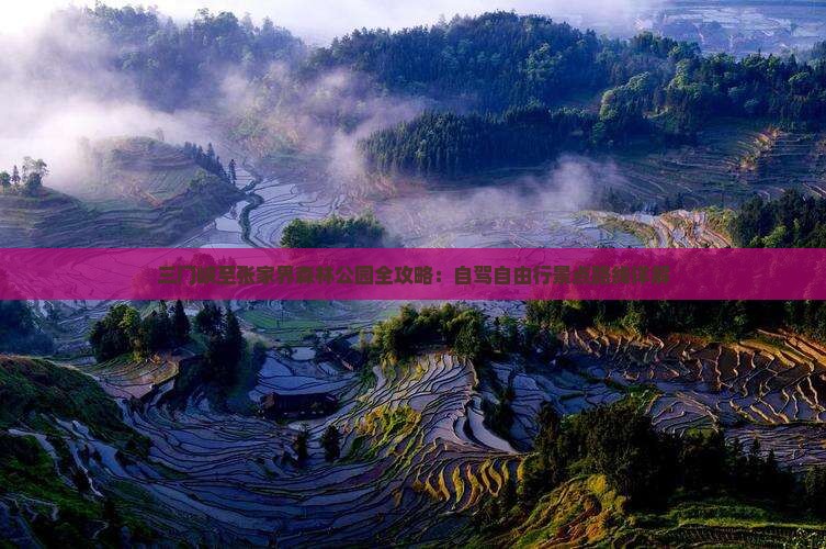 三门峡至张家界森林公园全攻略：自驾自由行景点路线详解