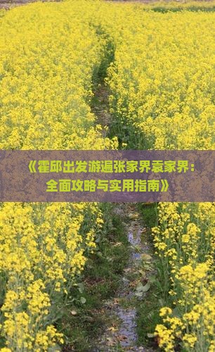 《霍邱出发游遍张家界袁家界：全面攻略与实用指南》