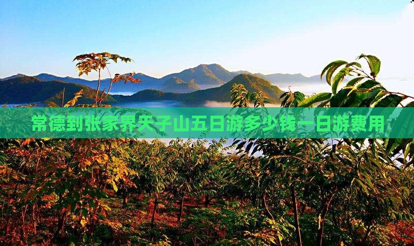 常德到张家界天子山五日游多少钱一日游费用