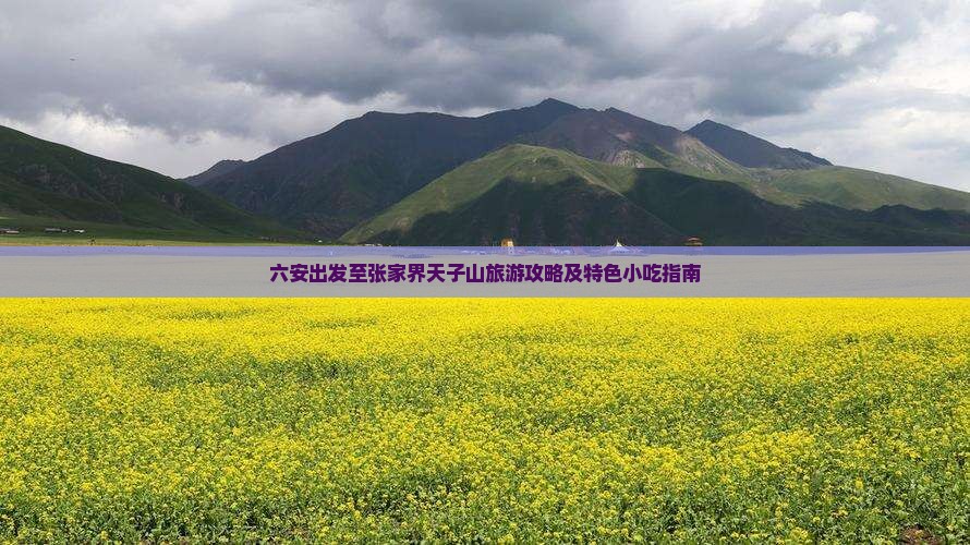 六安出发至张家界天子山旅游攻略及特色小吃指南