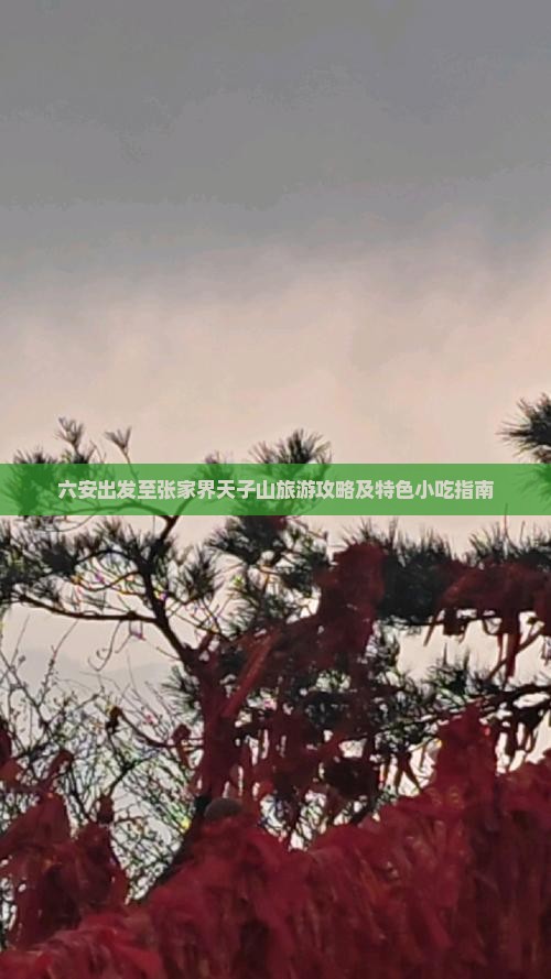 六安出发至张家界天子山旅游攻略及特色小吃指南