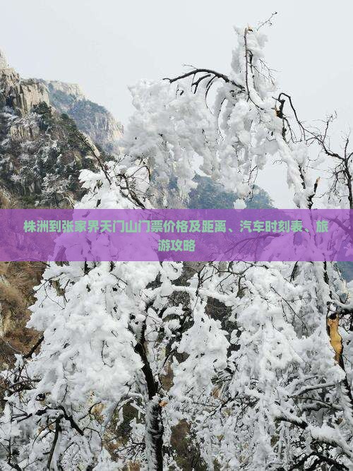 株洲到张家界天门山门票价格及距离、汽车时刻表、旅游攻略