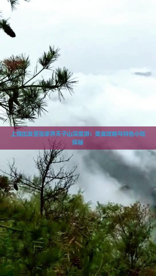 上饶出发至张家界天子山深度游：美食攻略与特色小吃探秘