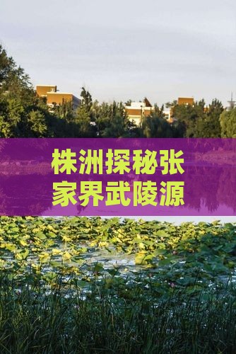 株洲探秘张家界武陵源：美食攻略与小吃地图
