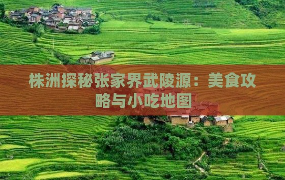 株洲探秘张家界武陵源：美食攻略与小吃地图