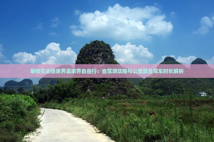 攀枝花去张家界袁家界自由行：自驾游攻略与公里数及驾车时长解析