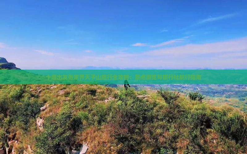十堰出发张家界天子山旅行全攻略：景点游览与旅行社航行指南