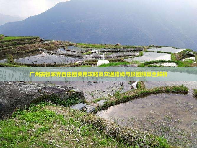 广州去张家界自由团费用攻略及交通路线与跟团预算全解析