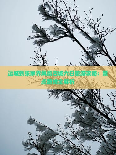 运城到张家界凤凰古城六日旅游攻略：景点路线全解析