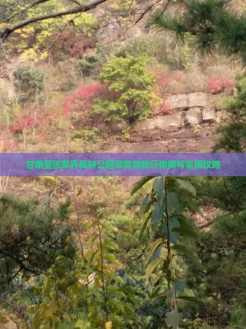 甘南至张家界森林公园深度游旅行指南与实用攻略