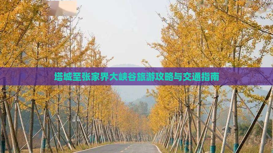 塔城至张家界大峡谷旅游攻略与交通指南