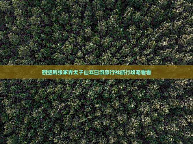 鹤壁到张家界天子山五日游旅行社航行攻略看看