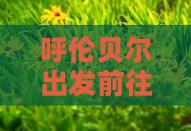 呼伦贝尔出发前往张家界天门山旅游攻略