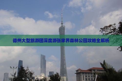 德州大型旅游团深度游张家界森林公园攻略全解析