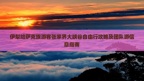 伊犁哈萨克族游客张家界大峡谷自由行攻略及团队游信息指南