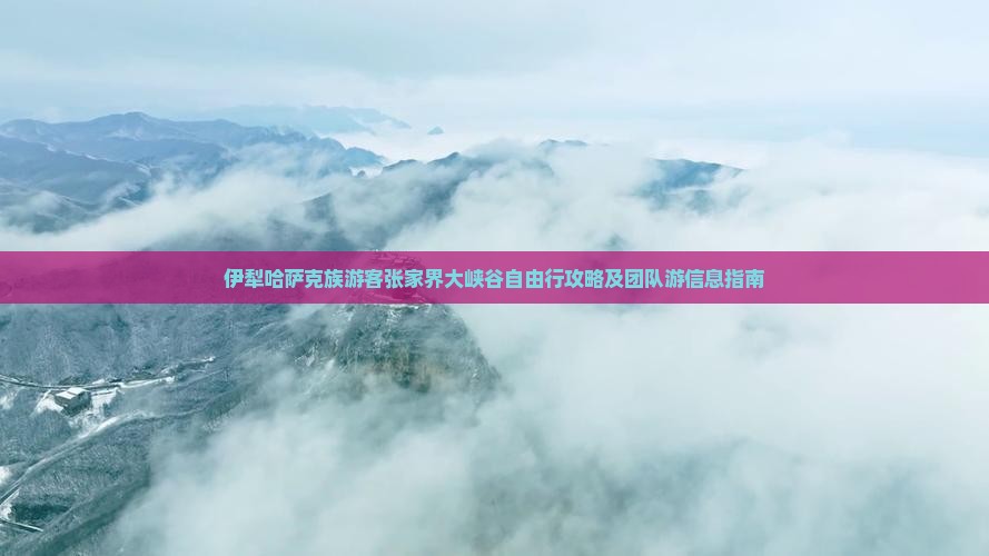 伊犁哈萨克族游客张家界大峡谷自由行攻略及团队游信息指南