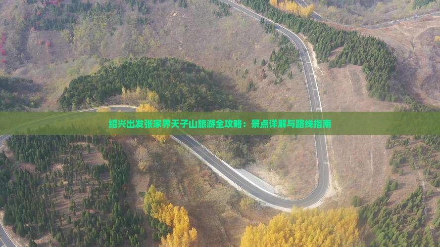 绍兴出发张家界天子山旅游全攻略：景点详解与路线指南