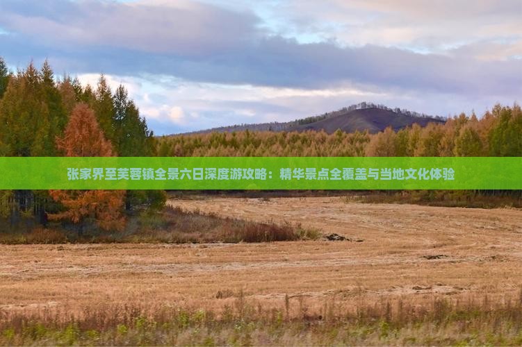 张家界至芙蓉镇全景六日深度游攻略：精华景点全覆盖与当地文化体验