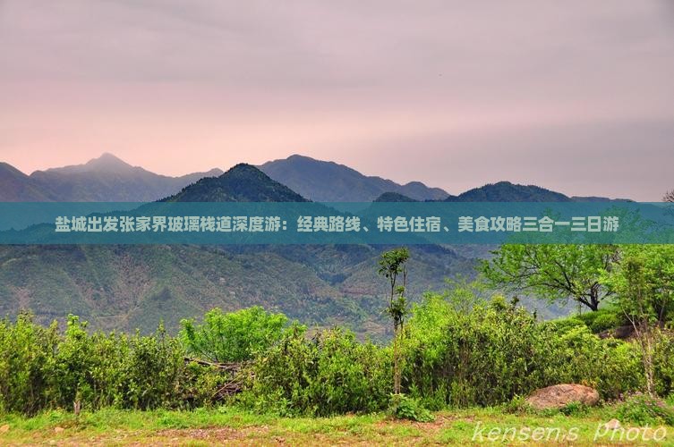 盐城出发张家界玻璃栈道深度游：经典路线、特色住宿、美食攻略三合一三日游