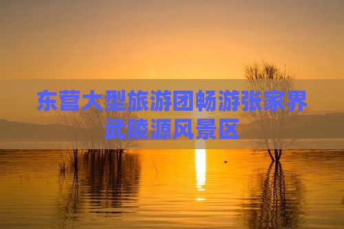 东营大型旅游团畅游张家界武陵源风景区