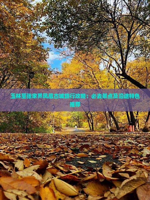 玉林至张家界凤凰古城旅行攻略：必去景点及沿途特色推荐