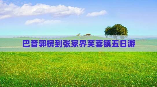 巴音郭楞到张家界芙蓉镇五日游