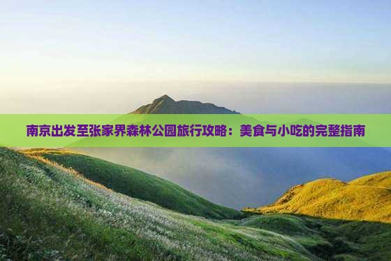 南京出发至张家界森林公园旅行攻略：美食与小吃的完整指南