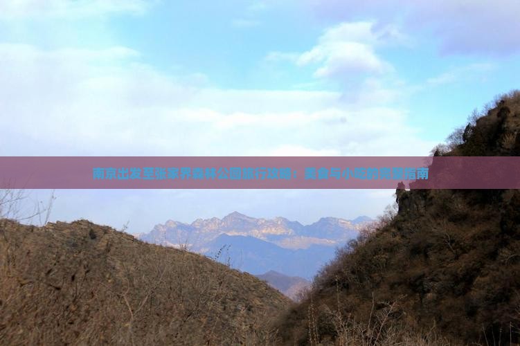 南京出发至张家界森林公园旅行攻略：美食与小吃的完整指南