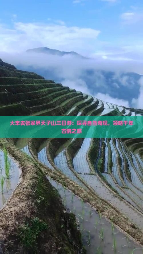 大丰去张家界天子山三日游：探寻自然奇观，领略千年古韵之旅