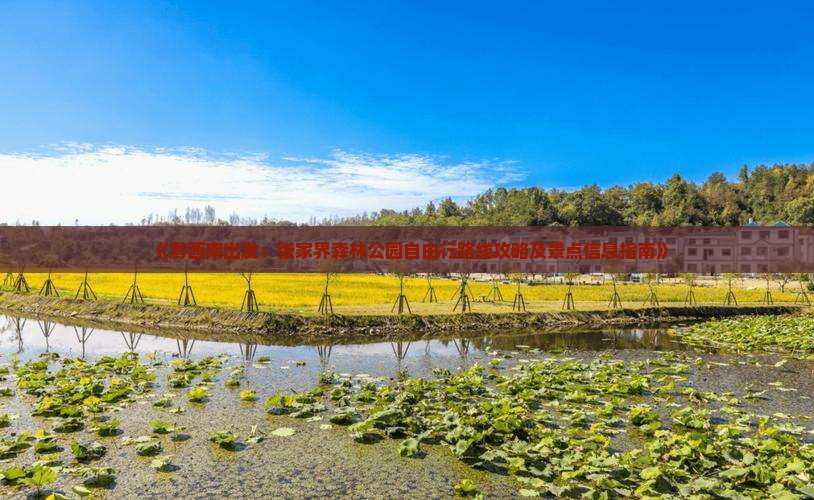 《黔西南出发：张家界森林公园自由行路线攻略及景点信息指南》