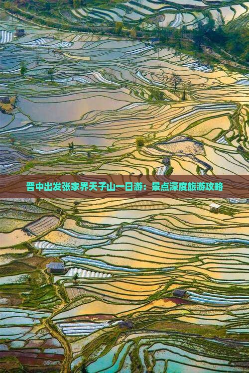 晋中出发张家界天子山一日游：景点深度旅游攻略