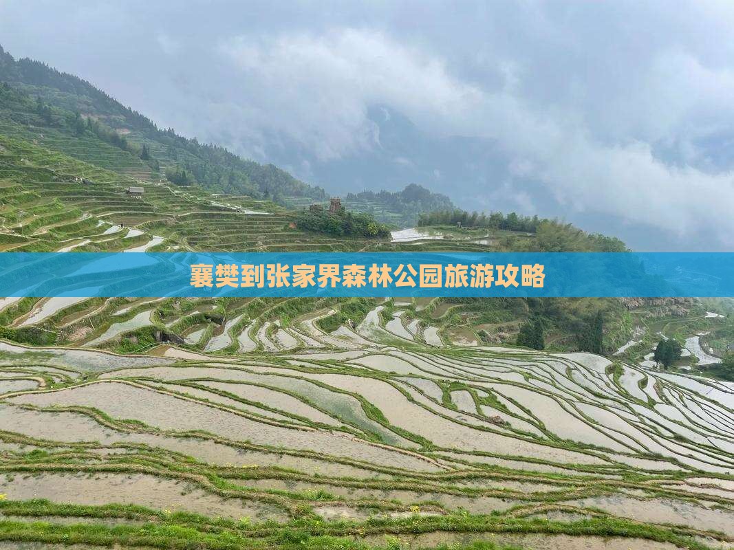 襄樊到张家界森林公园旅游攻略