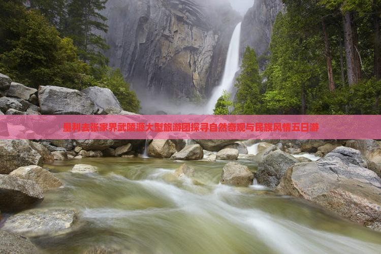 垦利去张家界武陵源大型旅游团探寻自然奇观与民族风情五日游