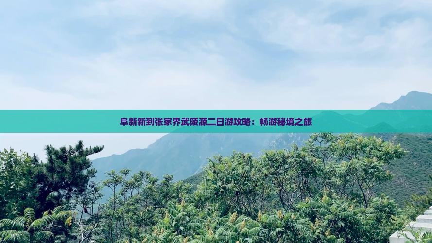 阜新新到张家界武陵源二日游攻略：畅游秘境之旅