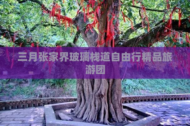 三月张家界玻璃栈道自由行精品旅游团
