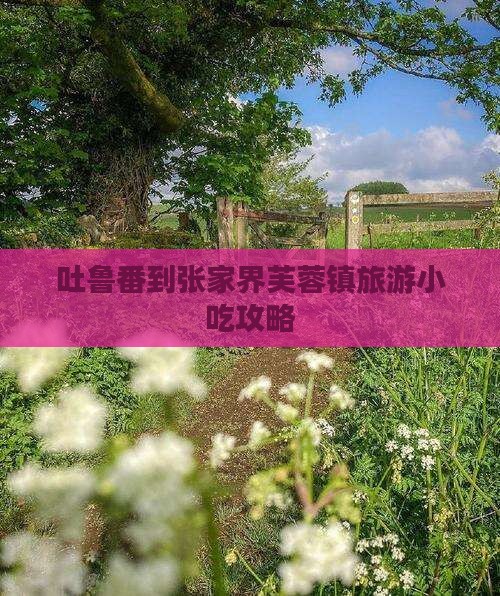 吐鲁番到张家界芙蓉镇旅游小吃攻略