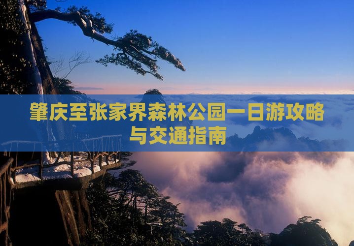 肇庆至张家界森林公园一日游攻略与交通指南