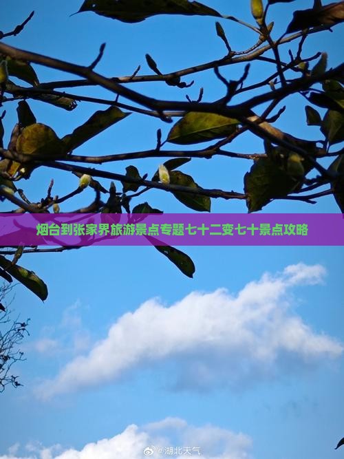 烟台到张家界旅游景点专题七十二变七十景点攻略