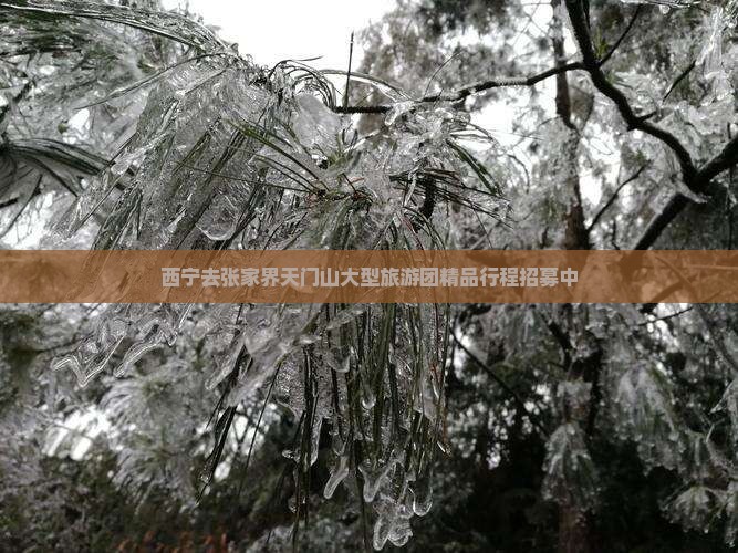 西宁去张家界天门山大型旅游团精品行程招募中